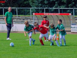 Hillen Cup 2024